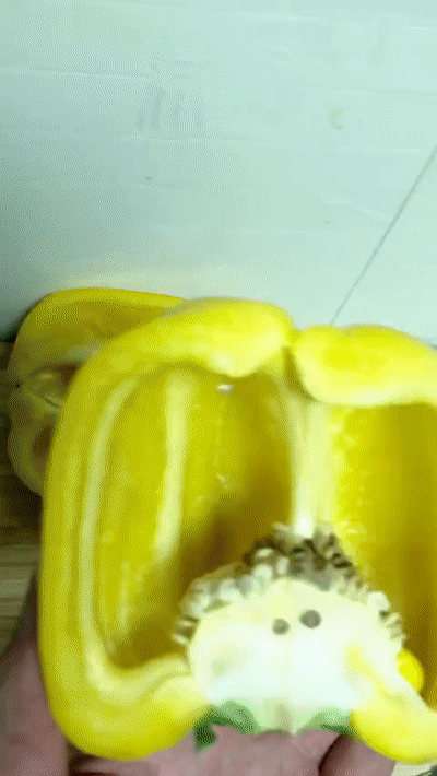 2995df6e1d394520a88a684eb9faffa1.gif